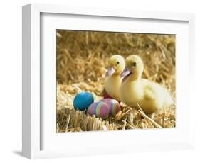 Pair of ducklings with Easter eggs-Ada Summer-Framed Photographic Print