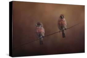 Pair of Finches-Jai Johnson-Stretched Canvas