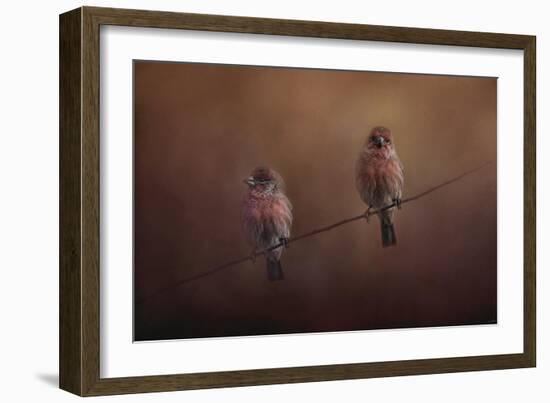 Pair of Finches-Jai Johnson-Framed Giclee Print