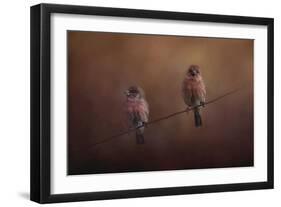 Pair of Finches-Jai Johnson-Framed Giclee Print