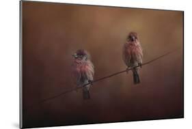 Pair of Finches-Jai Johnson-Mounted Giclee Print