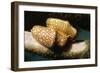 Pair of Flamingo Tongue Cowries-Hal Beral-Framed Photographic Print