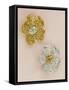 Pair of Flower-Head Brooches-null-Framed Stretched Canvas