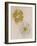 Pair of Flower-Head Brooches-null-Framed Giclee Print