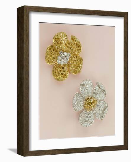 Pair of Flower-Head Brooches-null-Framed Giclee Print