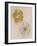 Pair of Flower-Head Brooches-null-Framed Giclee Print