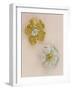 Pair of Flower-Head Brooches-null-Framed Giclee Print