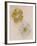 Pair of Flower-Head Brooches-null-Framed Giclee Print