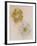 Pair of Flower-Head Brooches-null-Framed Giclee Print