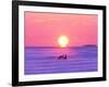 Pair of Fox in Winter Morning-null-Framed Photographic Print