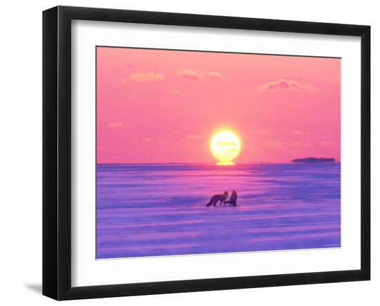 Premium Photographic Print, , large