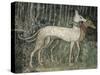 Pair of Hunting Dogs-null-Stretched Canvas