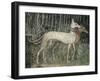 Pair of Hunting Dogs-null-Framed Giclee Print