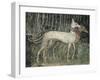 Pair of Hunting Dogs-null-Framed Giclee Print