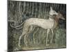 Pair of Hunting Dogs-null-Mounted Giclee Print