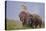 Pair of Indian Asian Elephant, Corbett National Park, India-Jagdeep Rajput-Stretched Canvas