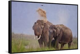 Pair of Indian Asian Elephant, Corbett National Park, India-Jagdeep Rajput-Framed Stretched Canvas