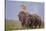 Pair of Indian Asian Elephant, Corbett National Park, India-Jagdeep Rajput-Stretched Canvas