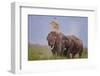 Pair of Indian Asian Elephant, Corbett National Park, India-Jagdeep Rajput-Framed Premium Photographic Print