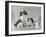 Pair of Japanese Chins Owned by Hudson One Sitting and One Lying Down-Thomas Fall-Framed Photographic Print