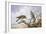 Pair of Kestrels-Carl Donner-Framed Giclee Print