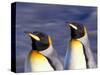 Pair of King Penguins with Rushing Water, South Georgia Island-Art Wolfe-Stretched Canvas