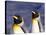 Pair of King Penguins with Rushing Water, South Georgia Island-Art Wolfe-Stretched Canvas