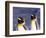 Pair of King Penguins with Rushing Water, South Georgia Island-Art Wolfe-Framed Photographic Print