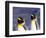 Pair of King Penguins with Rushing Water, South Georgia Island-Art Wolfe-Framed Photographic Print