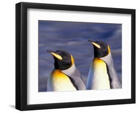 Pair of King Penguins with Rushing Water, South Georgia Island-Art Wolfe-Framed Photographic Print