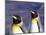 Pair of King Penguins with Rushing Water, South Georgia Island-Art Wolfe-Mounted Photographic Print
