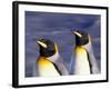 Pair of King Penguins with Rushing Water, South Georgia Island-Art Wolfe-Framed Photographic Print