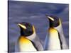 Pair of King Penguins with Rushing Water, South Georgia Island-Art Wolfe-Stretched Canvas