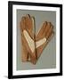 Pair of Leather and Lace Gloves-null-Framed Giclee Print