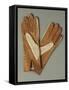 Pair of Leather and Lace Gloves-null-Framed Stretched Canvas