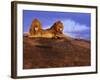 Pair of Male African Lions at Dawn-Joe McDonald-Framed Photographic Print