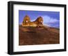 Pair of Male African Lions at Dawn-Joe McDonald-Framed Photographic Print