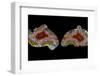 Pair of Mexican Laguna Banded Agate, Quartzsite, AZ-Darrell Gulin-Framed Photographic Print