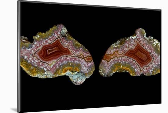 Pair of Mexican Laguna Banded Agate, Quartzsite, AZ-Darrell Gulin-Mounted Photographic Print