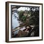 Pair of Nude Women Sitting Along the River Bank of the Thames-William Sumits-Framed Photographic Print