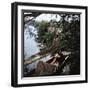 Pair of Nude Women Sitting Along the River Bank of the Thames-William Sumits-Framed Photographic Print