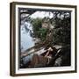 Pair of Nude Women Sitting Along the River Bank of the Thames-William Sumits-Framed Photographic Print