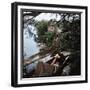 Pair of Nude Women Sitting Along the River Bank of the Thames-William Sumits-Framed Photographic Print