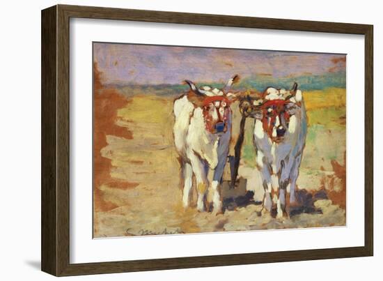 Pair of Oxen, 1910-1920-Guglielmo Micheli-Framed Giclee Print