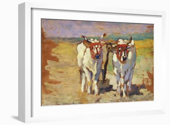 Pair of Oxen, 1910-1920-Guglielmo Micheli-Framed Giclee Print