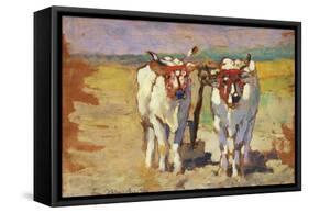 Pair of Oxen, 1910-1920-Guglielmo Micheli-Framed Stretched Canvas