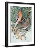 Pair of Passenger Pigeons, 1906-Louis Agassiz Fuertes-Framed Giclee Print