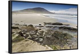 Pair of Patagonian Crested Ducks (Lophonetta Specularioides) in a Pool-Eleanor-Framed Photographic Print