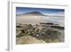 Pair of Patagonian Crested Ducks (Lophonetta Specularioides) in a Pool-Eleanor-Framed Photographic Print