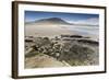 Pair of Patagonian Crested Ducks (Lophonetta Specularioides) in a Pool-Eleanor-Framed Photographic Print